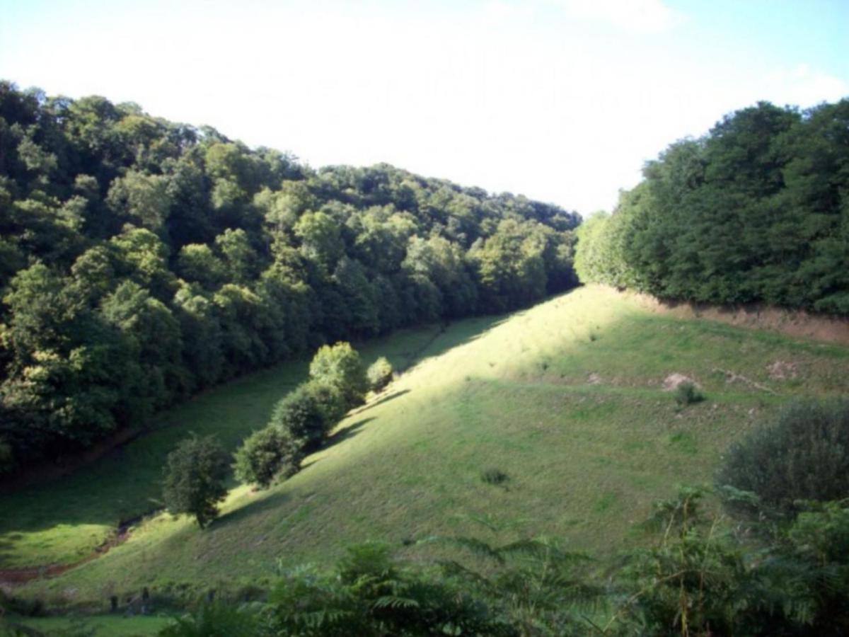Cosy Chalet With Private Garden In Normandy Isigny-le-Buat Стая снимка